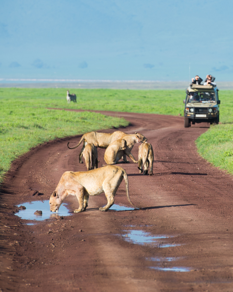 Camping Masai Mara(1)